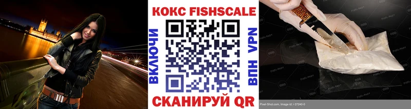 Купить закладки  Чехов  Cocaine 99% 