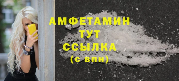 твердый Дмитровск
