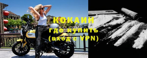 твердый Дмитровск