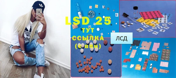 твердый Дмитровск